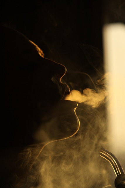 vape bundle