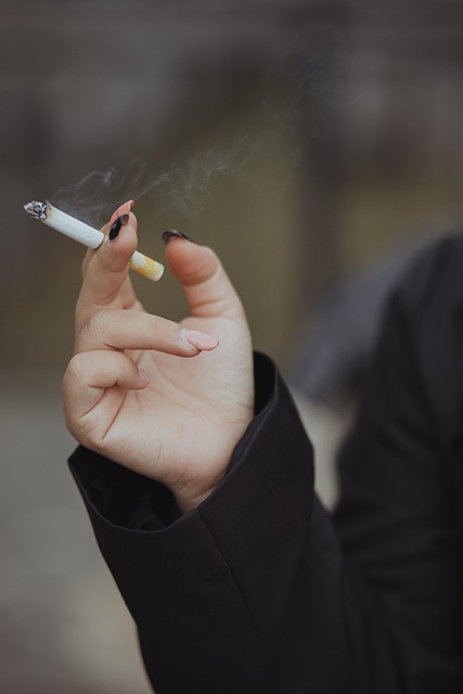 vape bundle