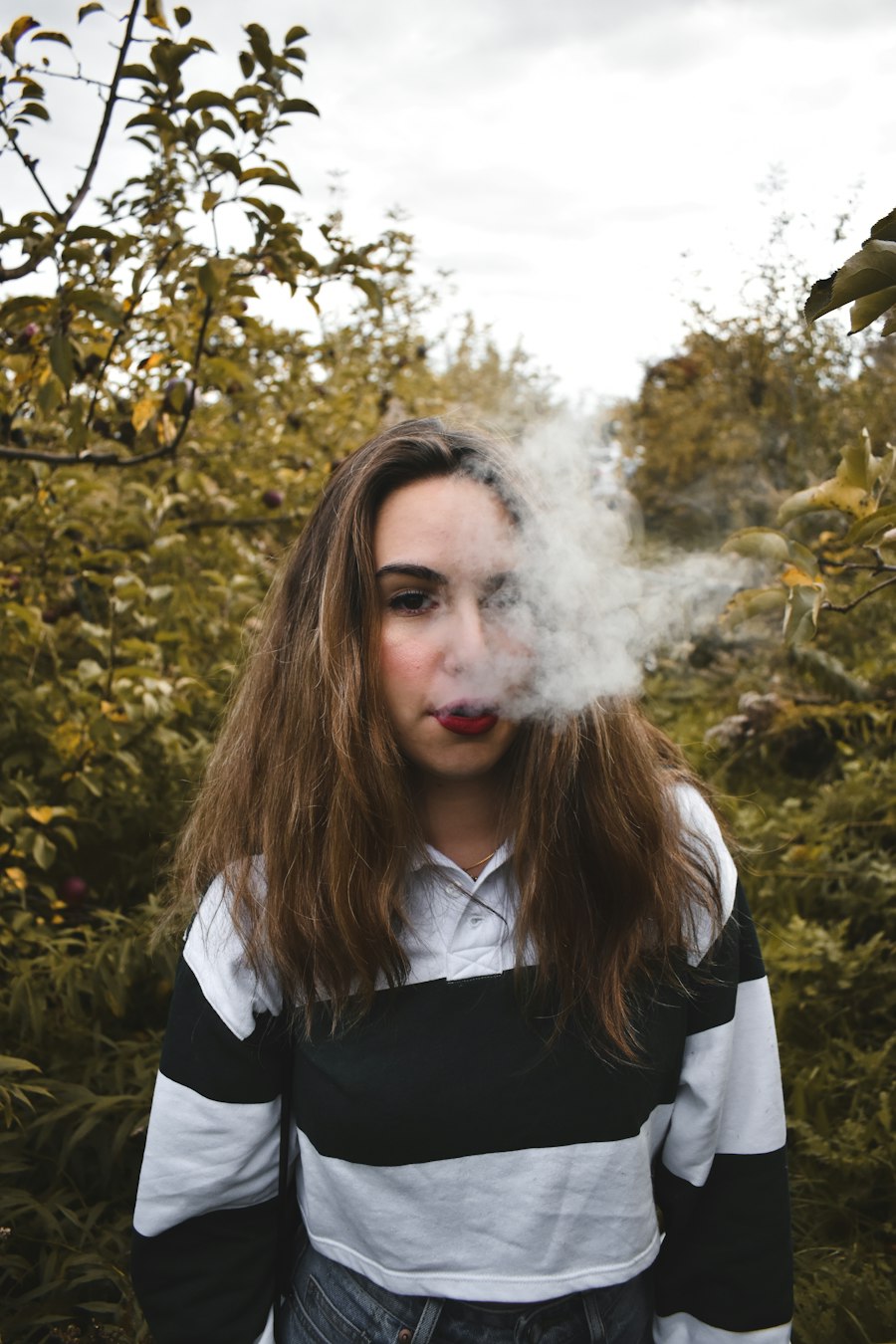 vape mod